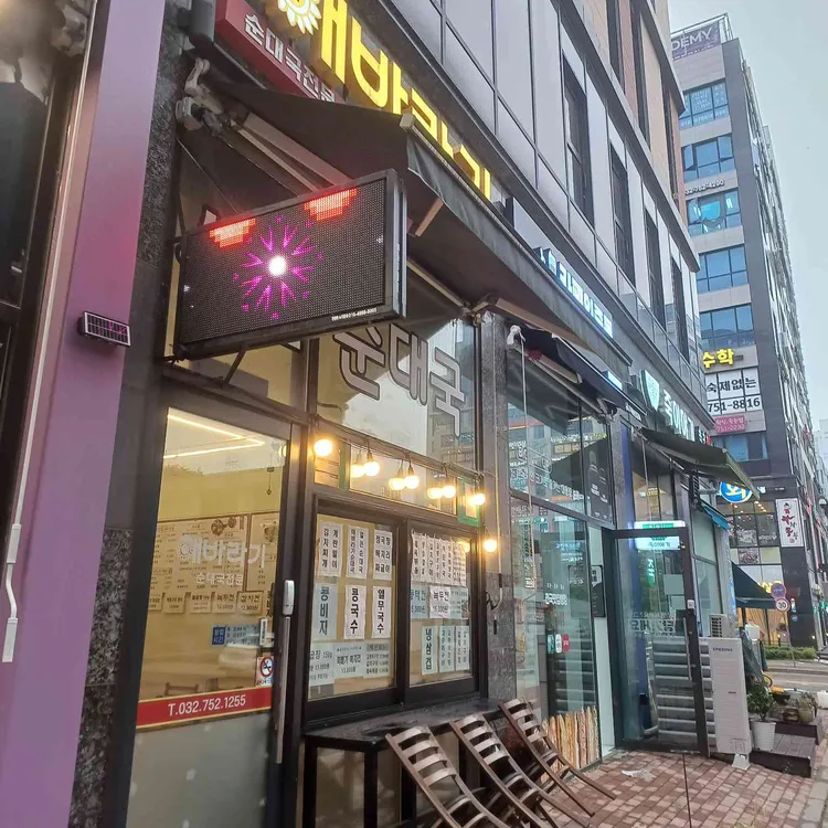 해바라기 대표 사진