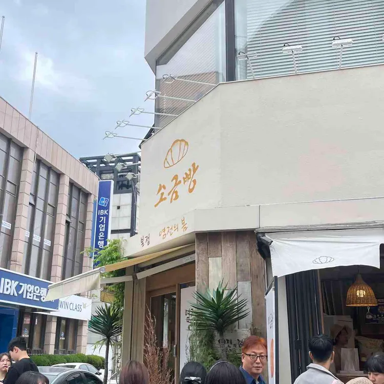 염전의봄 사진 1
