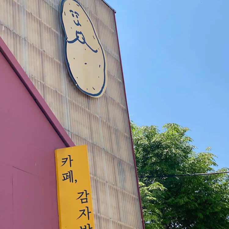 감자밭 사진
