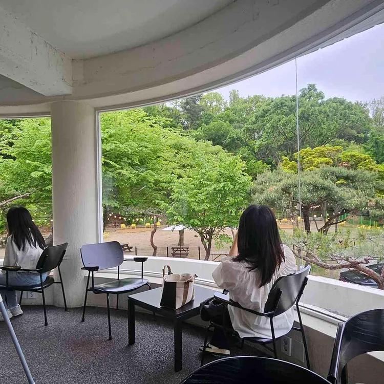 팔숲 대표 사진