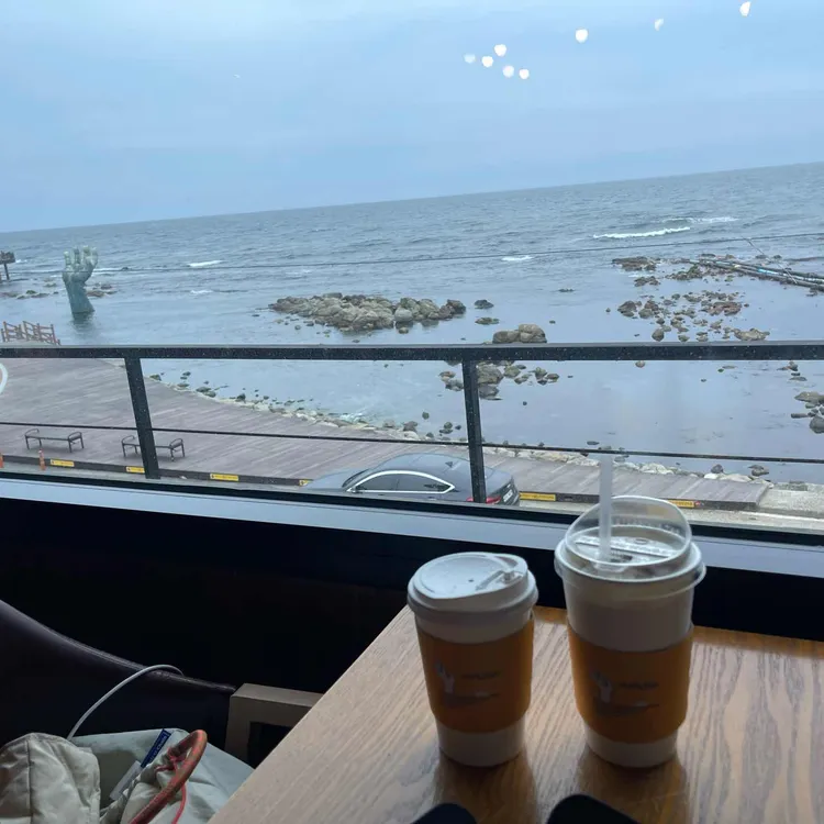 파루시아 대표 사진