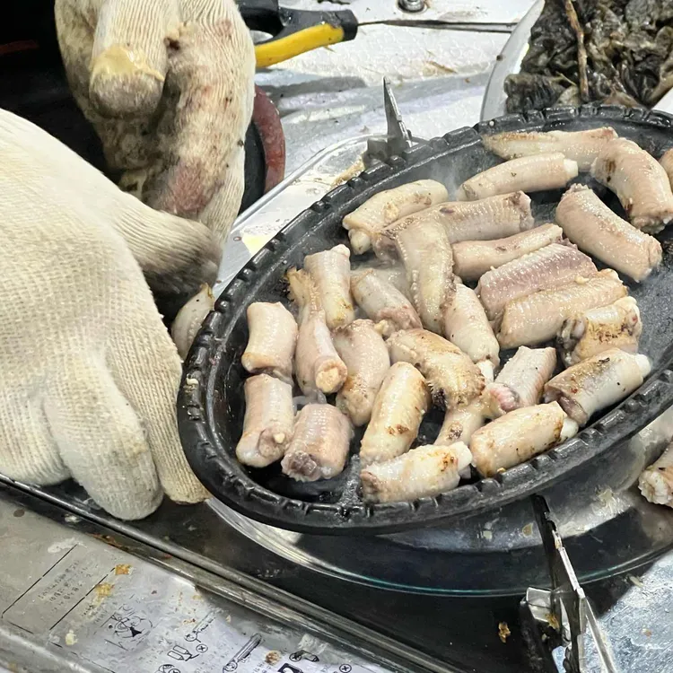 해변짚불곰장어 사진 1