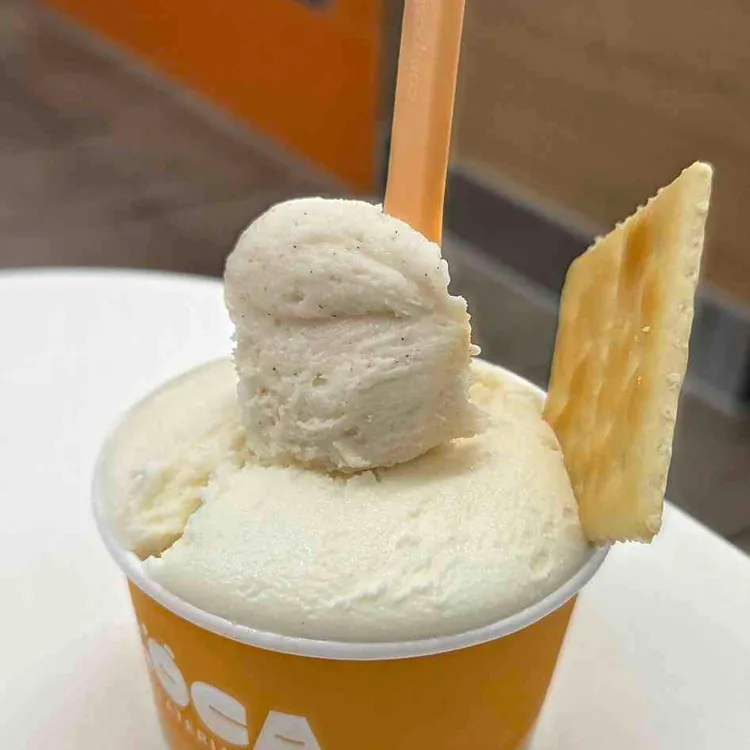 아로카 사진 1