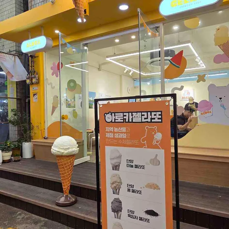 아로카 사진 2