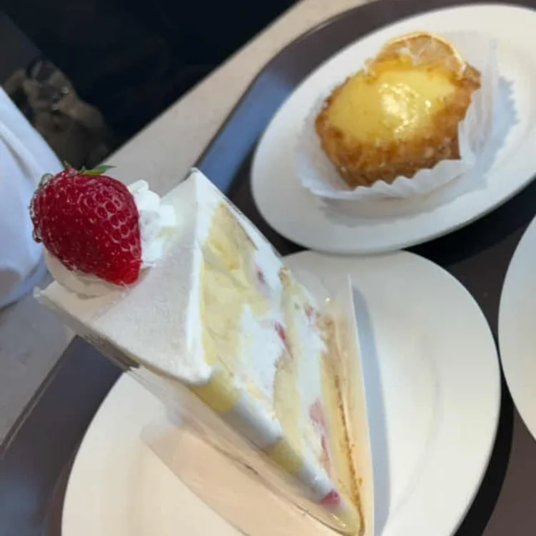 쉐프조 사진 1