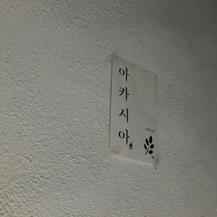 아카시아 대표 사진