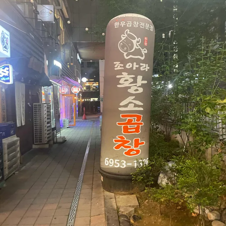 조아라황소곱창 대표 사진
