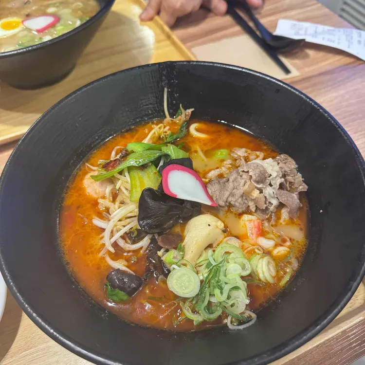 호시카와 사진 2