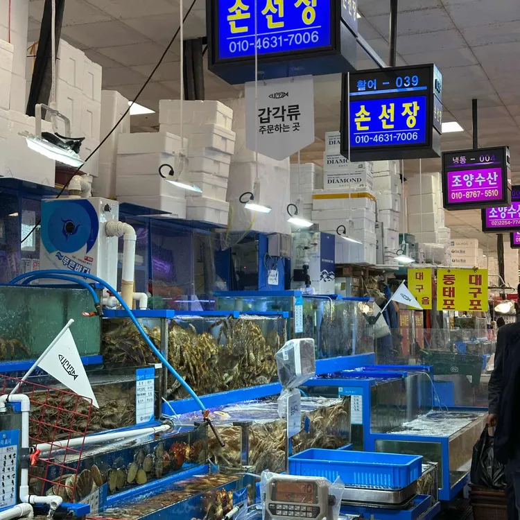 손선장 대표 사진