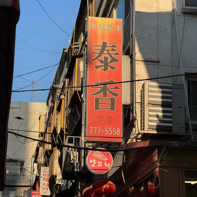 태향 사진