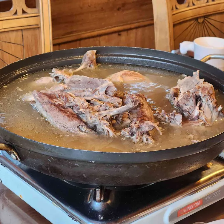 솔향기 사진 1