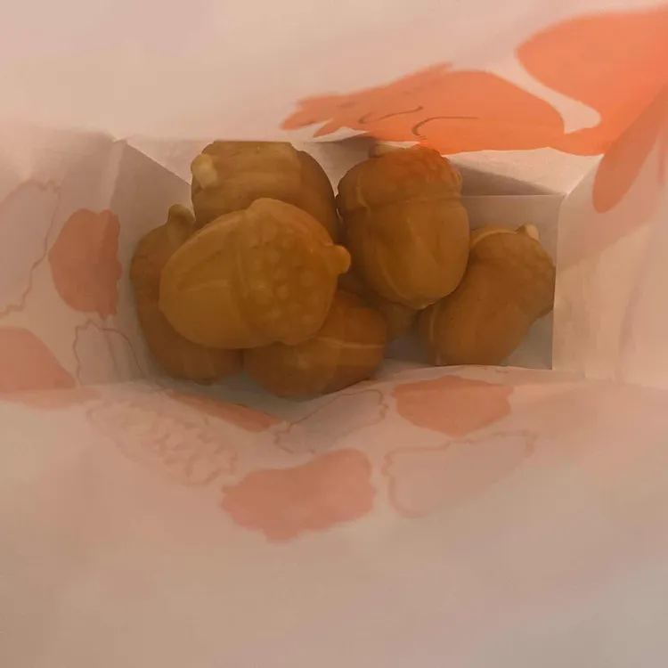 토리만쥬 대표 사진
