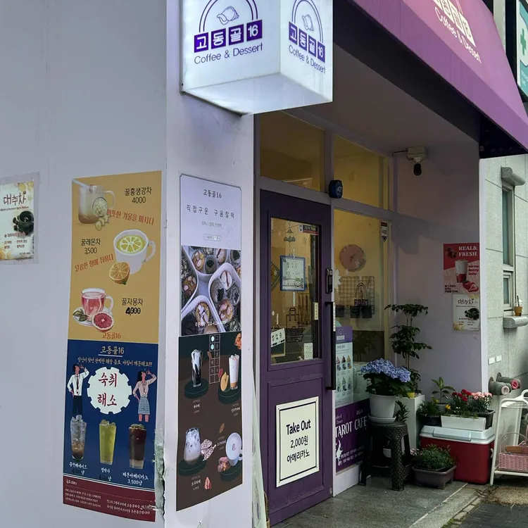 고동골16 대표 사진