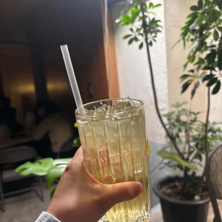 상향선 대표 사진