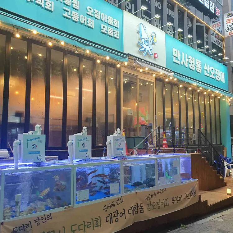 만사형통 산오징어 사진 2