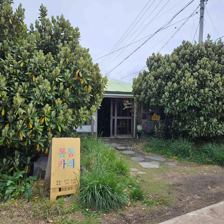 톰톰카레 사진