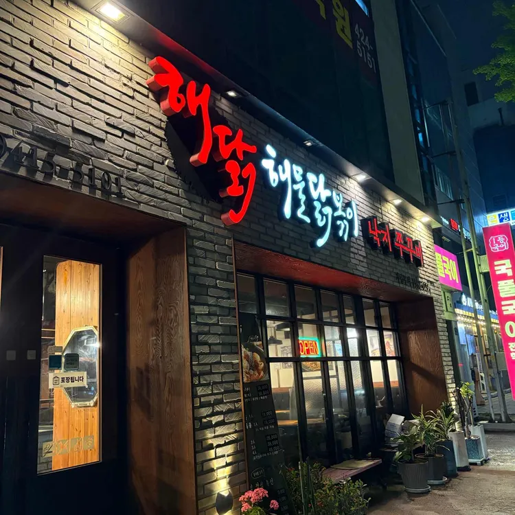 해닭 사진 1
