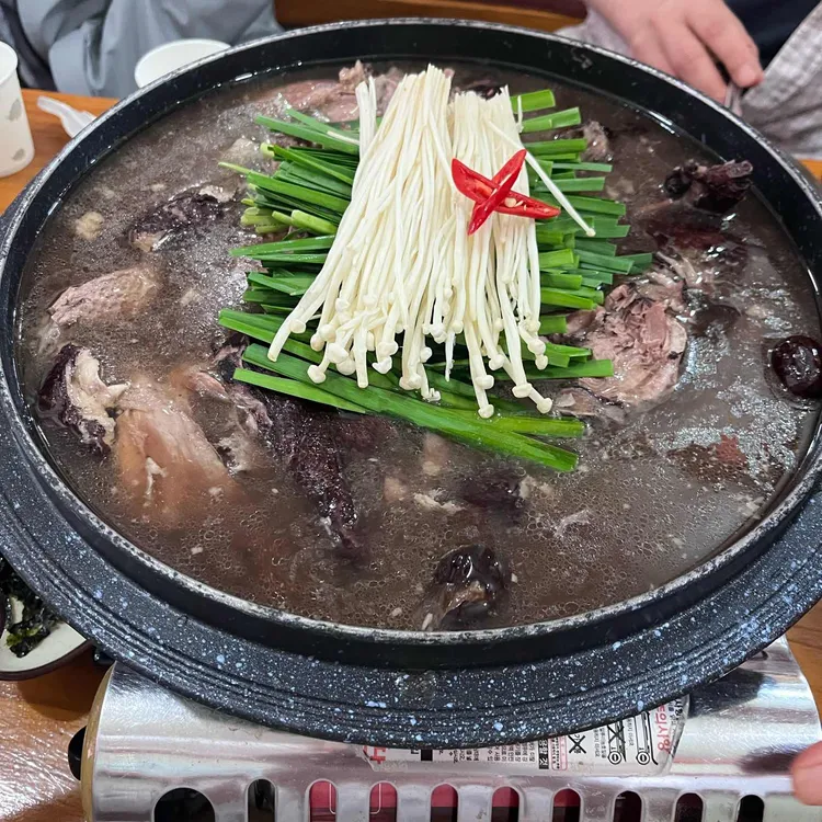 애마오리 사진 2