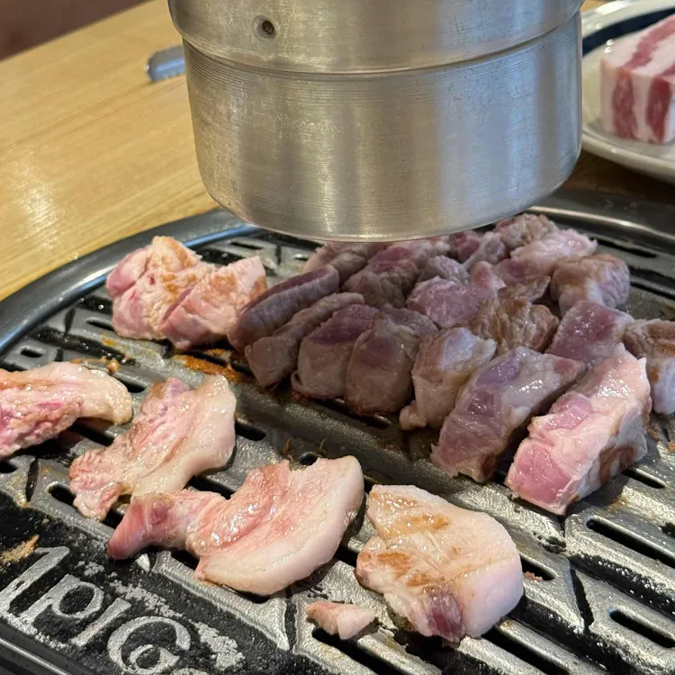 1PIG 사진