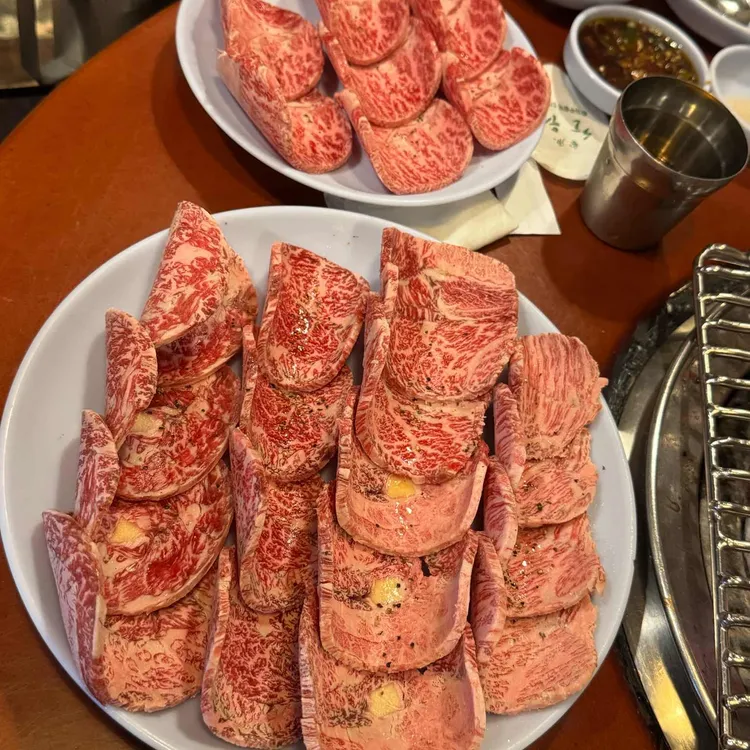 초원 사진