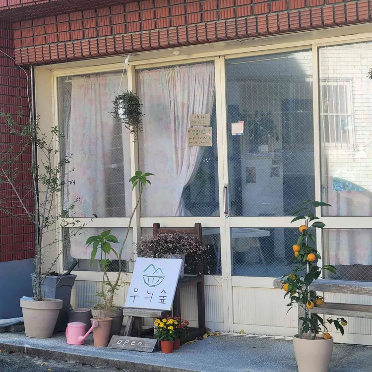 무늬카레 대표 사진