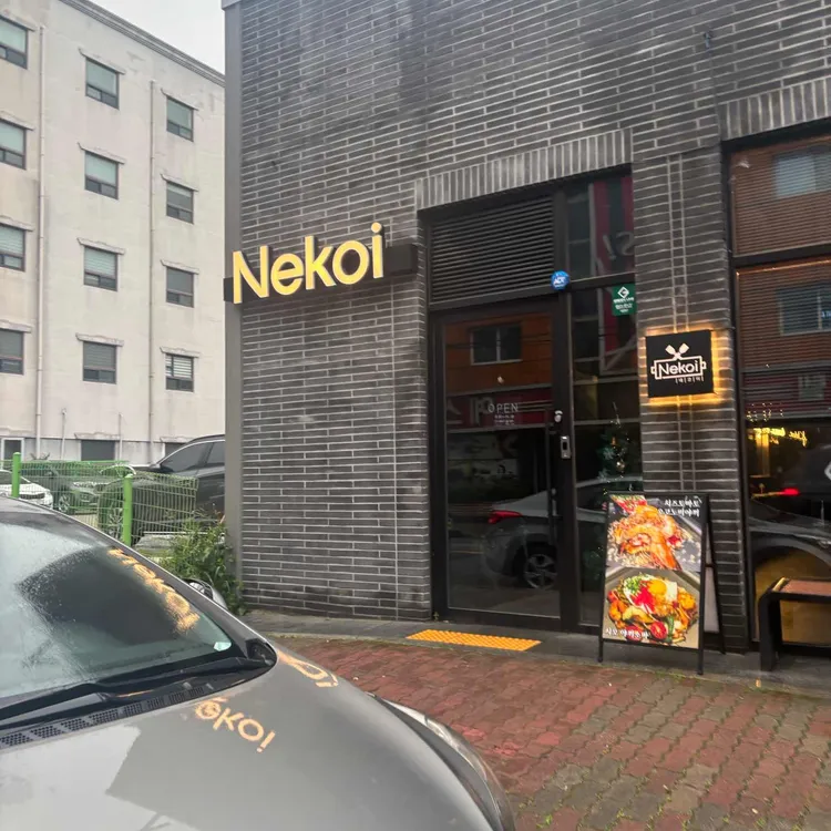 네코이 대표 사진