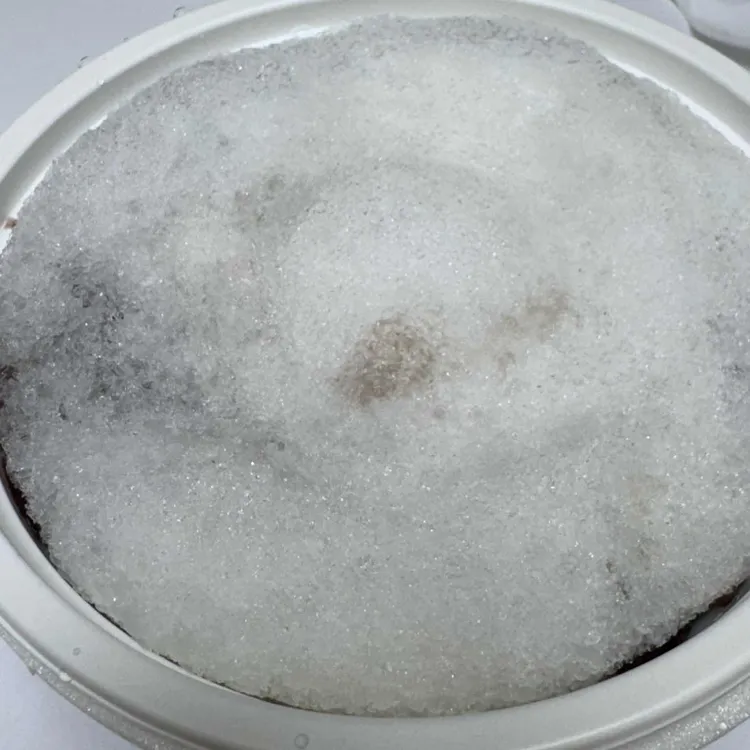 팥장군 대표 사진
