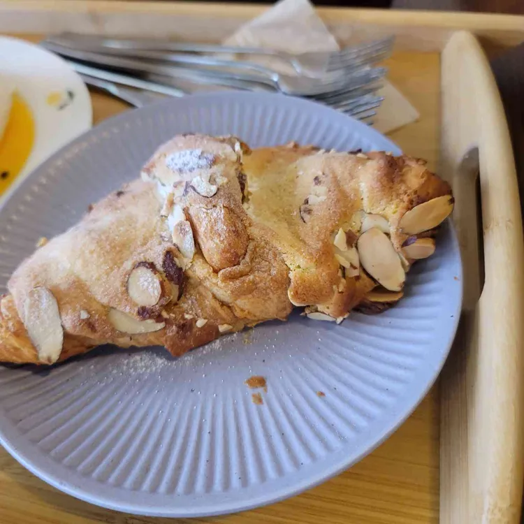 마이리틀 호주 대표 사진