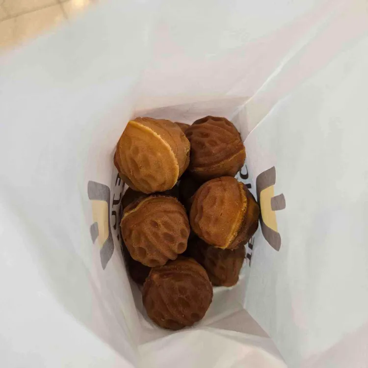 제주스 대표 사진