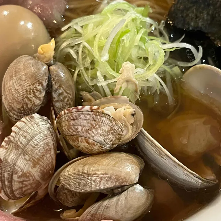 사루카메 사진 2