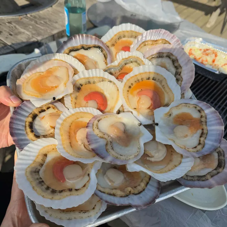 신안횟집 사진 1