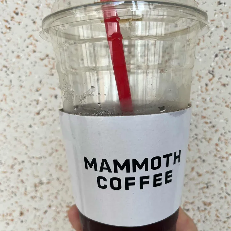 매머드익스프레스 대표 사진