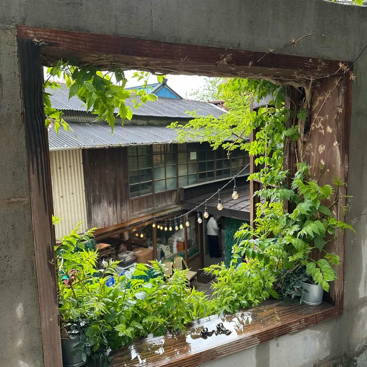 까멜리아 대표 사진