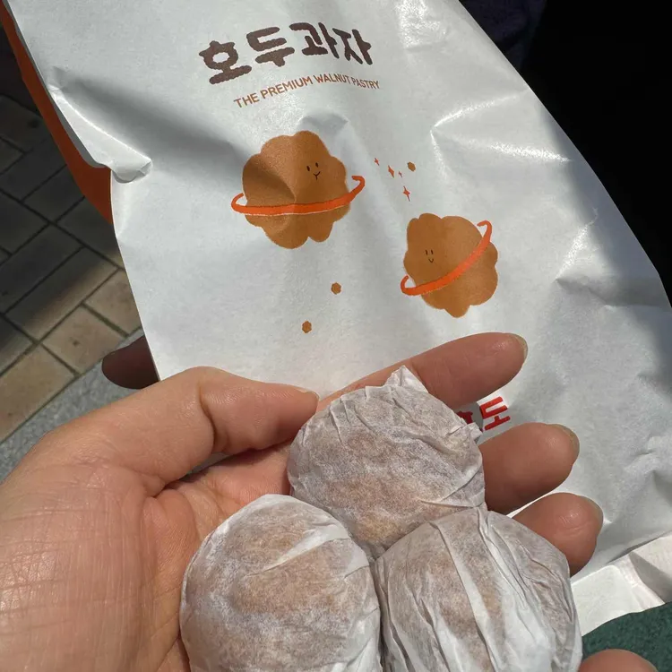 코코호도 사진 1