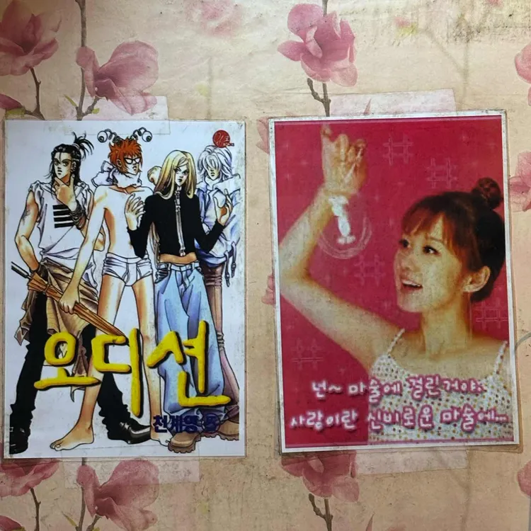 상록수 사진 2