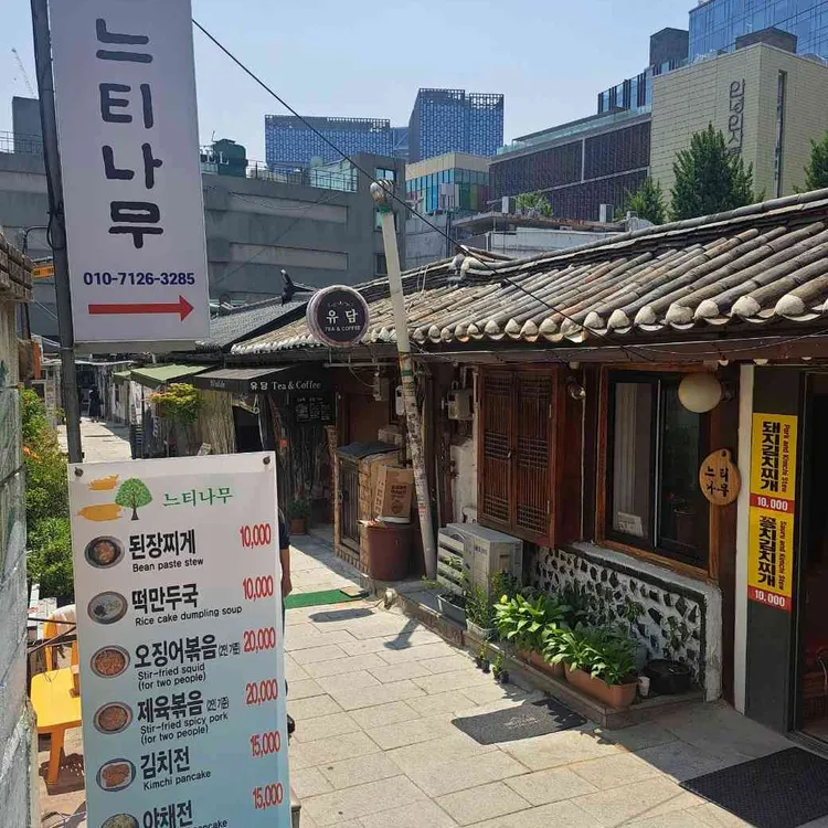 느티나무 대표 사진