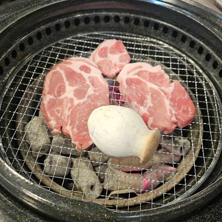 올통 대표 사진