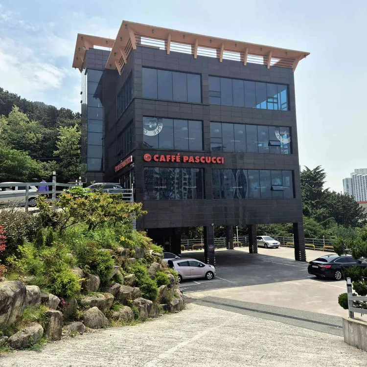 파스쿠찌 대표 사진