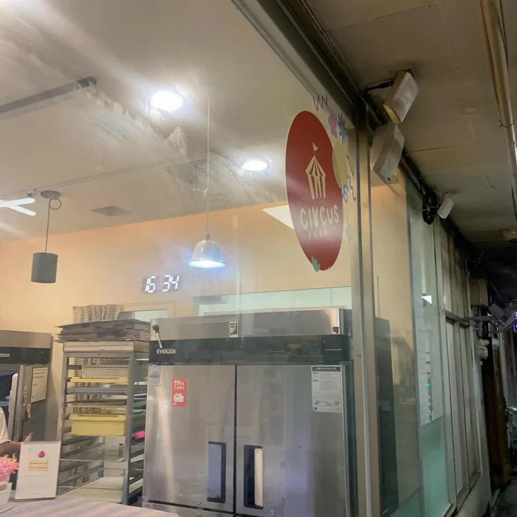 서커스래빗 대표 사진