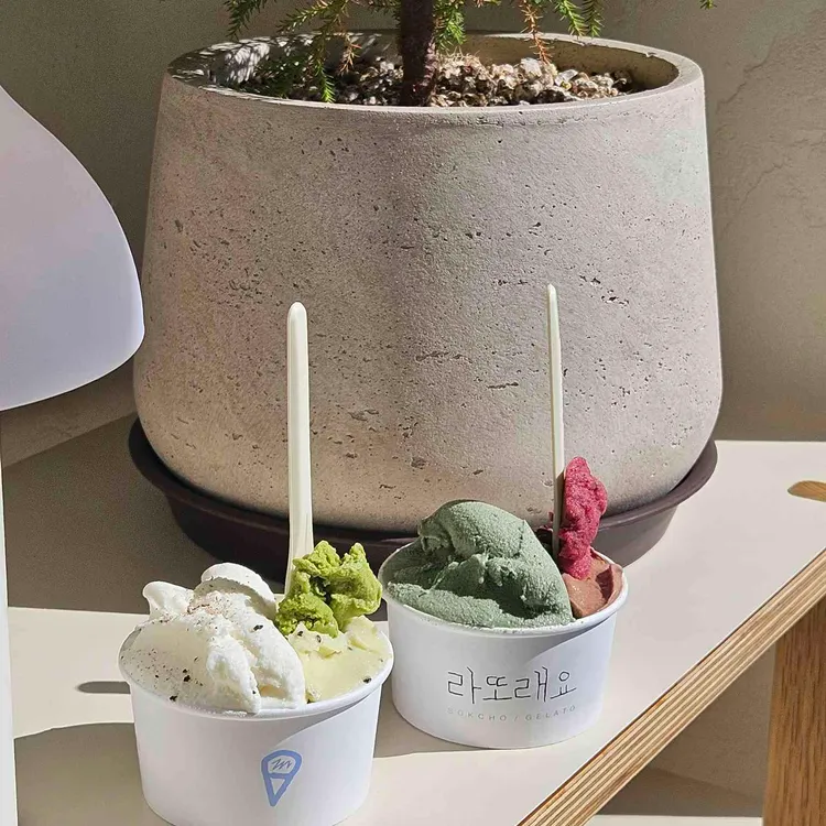 라또래요 사진