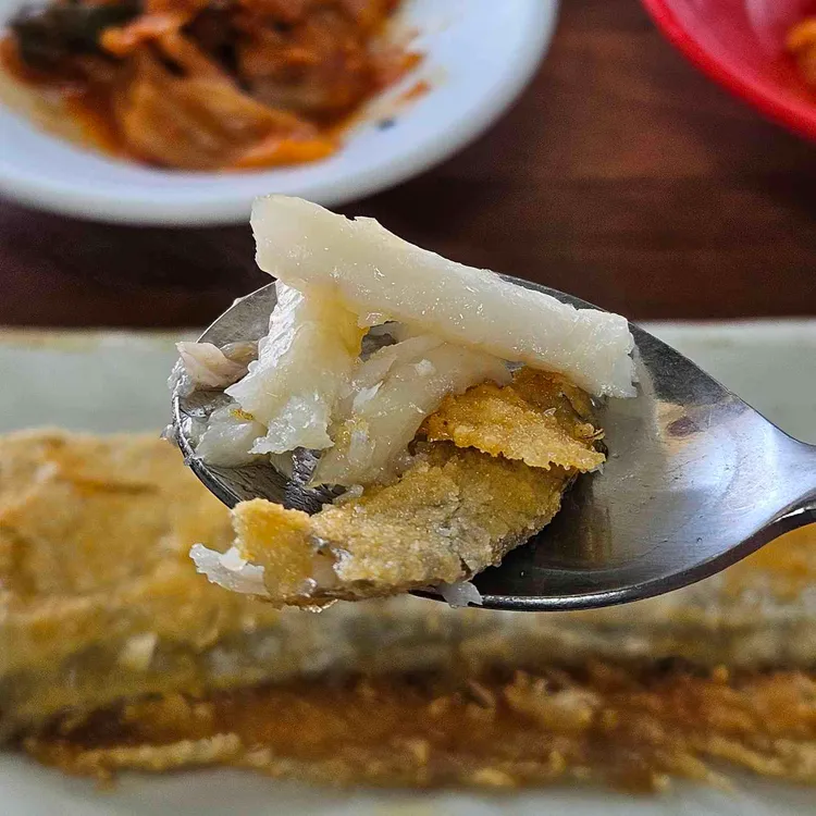 뚱보아저씨 사진 2
