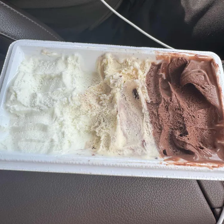 젤라떼리아 카리타 대표 사진