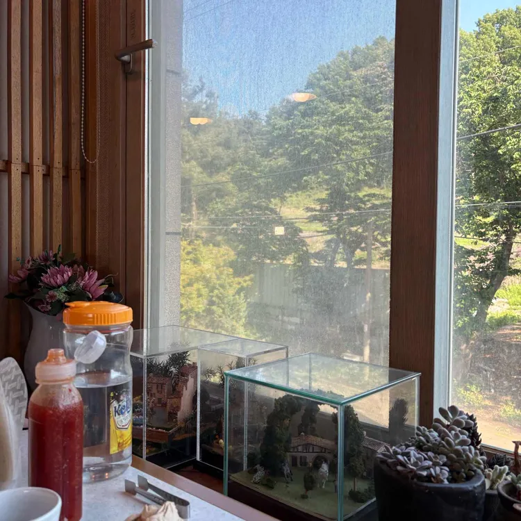 아초원 사진