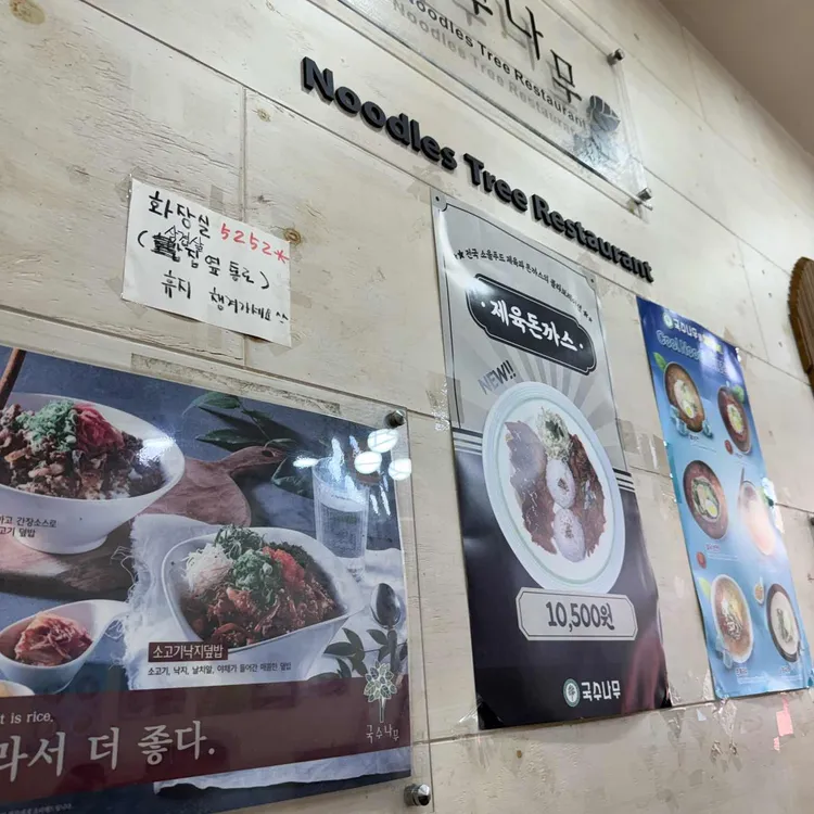 국수나무 대표 사진