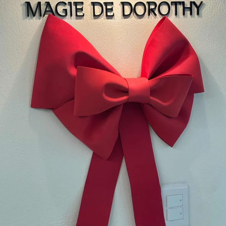 마지드도로시 대표 사진