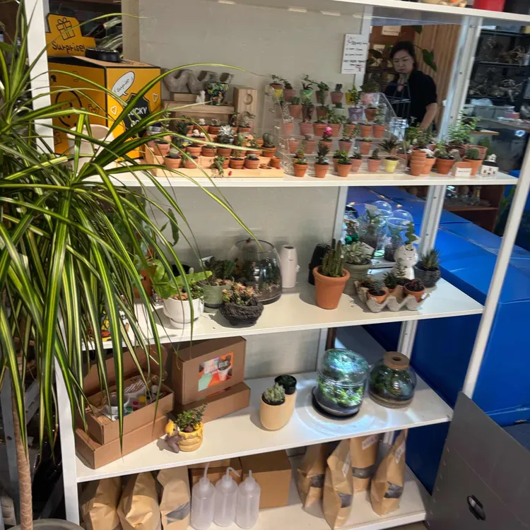 식물카페 가든홀릭 대표 사진