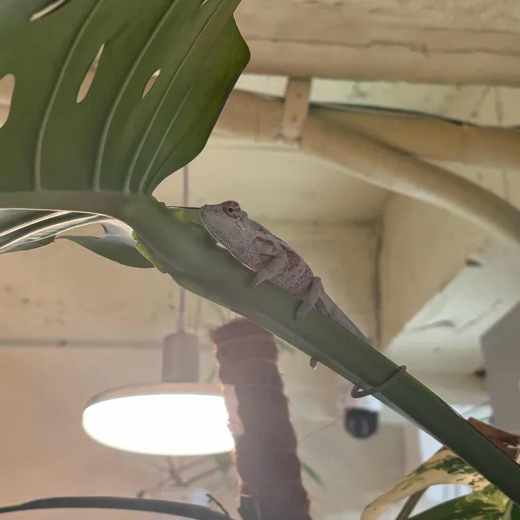 식물카페 가든홀릭 대표 사진