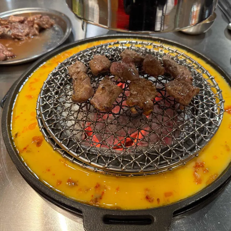 신마포갈매기 사진 2
