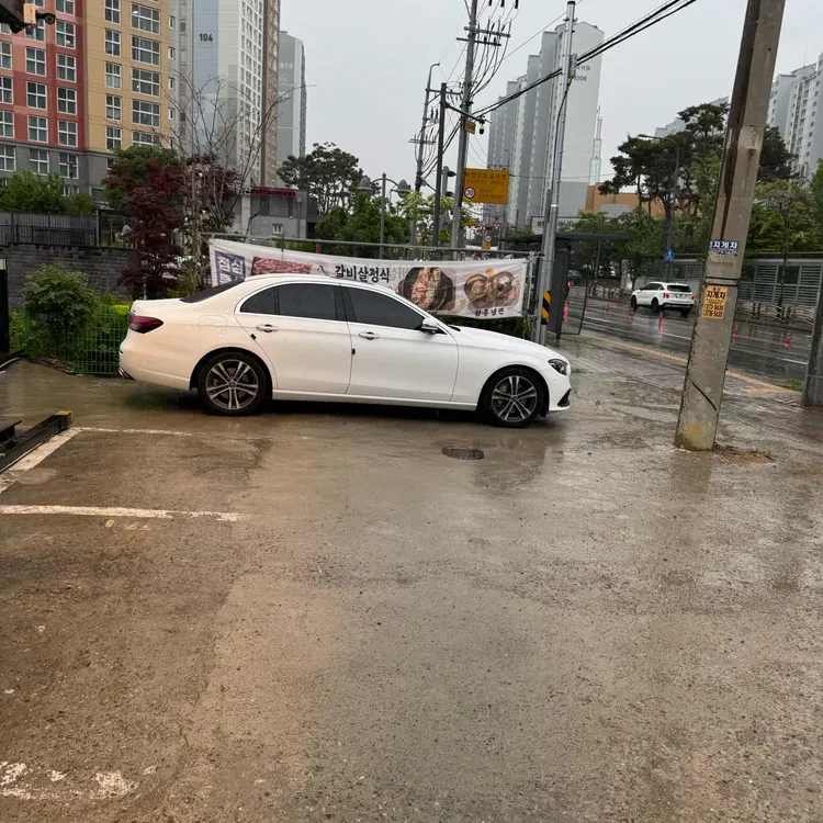 품육 대표 사진