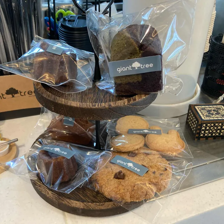 자이언트 트리 대표 사진